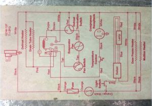 True Freezer Wiring Diagram Wiring Diagram True Model T 72 My Wiring Diagram