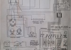 True Gdm 49 Wiring Diagram True T 72f Wiring Diagram Data Diagram Schematic
