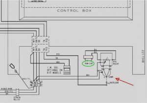True T49f Wiring Diagram T 49f True Freezer Wiring Diagram Wiring Diagram Centre True T49f Wiring Diagram T 49f True Freezer Wiring Diagram Wiring Diagram Centre