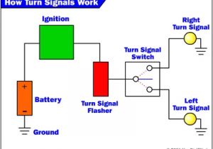 Turn Signal Flasher Wiring Diagram Turn Signal Light Wiring Diagram Wiring Diagram Paper