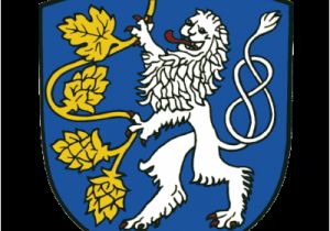 Turtle Beach P11 Wiring Diagram Aktuelles Gemeinde Zolling