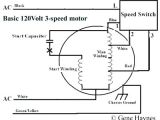 Two Speed Fan Motor Wiring Diagram Ebm Fans Australia Wiring Diagram Wiring Diagram Option