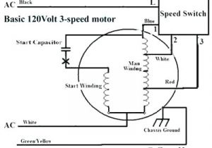 Two Speed Fan Motor Wiring Diagram Ebm Fans Australia Wiring Diagram Wiring Diagram Option