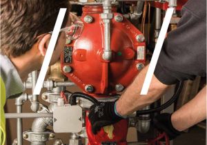 Tyco Bfv 300 Wiring Diagram Tyco Valve Manual Fire Sprinkler System Valve Tyco Bfv 300 Wiring Diagram Tyco Valve Manual Fire Sprinkler System Valve