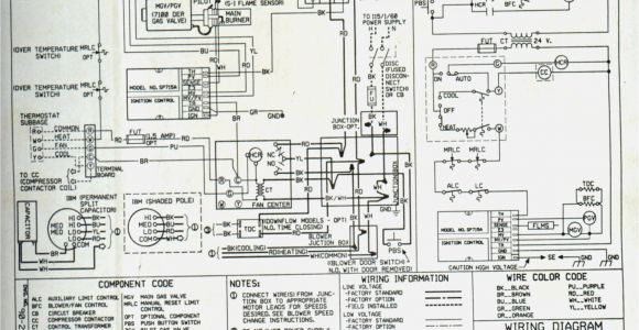Unit Heater Wiring Diagram Unitary Products Wiring Diagram Wiring Diagram Article