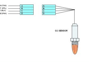 Universal Lambda Sensor Wiring Diagram ford Ranger O2 Sensor Wiring Diagram Wiring Diagram Post