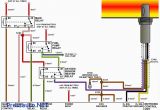 Universal Oxygen Sensor Wiring Diagram 02 Sensor Wiring Diagram Blog Wiring Diagram