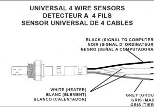 Universal Oxygen Sensor Wiring Diagram 02 Sensor Wiring Diagram Blog Wiring Diagram
