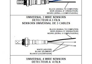 Universal Oxygen Sensor Wiring Diagram 3 Wire O2 Sensor Wiring Diagram Wiring Diagrams Recent
