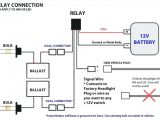 Universal Relay Wiring Diagram F150 Hid Ballast Wiring Diagram Wiring Diagram Meta