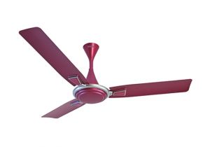 Usha Ceiling Fan Wiring Diagram Usha 1200 Mm High Speed Raphael Ceiling Fan Pink Price In India Usha Ceiling Fan Wiring Diagram Usha 1200 Mm High Speed Raphael Ceiling Fan Pink Price In India