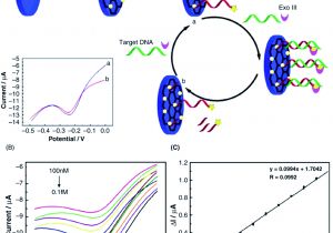 Ut Electronic Controls 1018 Wiring Diagram A Review On Graphene Based Nanocomposites for Electrochemical and Ut Electronic Controls 1018 Wiring Diagram A Review On Graphene Based Nanocomposites for Electrochemical and