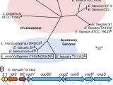 Ut Electronic Controls 1018 Wiring Diagram Copper Induced Expression Of A Transmissible Lipoprotein Ut Electronic Controls 1018 Wiring Diagram Copper Induced Expression Of A Transmissible Lipoprotein