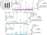 Ut Electronic Controls 1018 Wiring Diagram Copper Induced Expression Of A Transmissible Lipoprotein Ut Electronic Controls 1018 Wiring Diagram Copper Induced Expression Of A Transmissible Lipoprotein