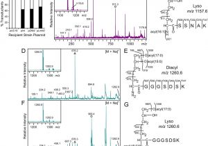 Ut Electronic Controls 1018 Wiring Diagram Copper Induced Expression Of A Transmissible Lipoprotein