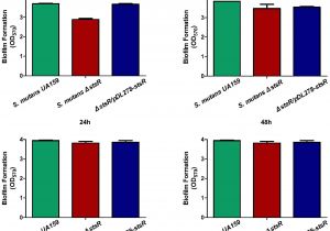 Ut Electronic Controls 1018 Wiring Diagram Frontiers A Gntr Family Transcription Factor In Streptococcus Ut Electronic Controls 1018 Wiring Diagram Frontiers A Gntr Family Transcription Factor In Streptococcus