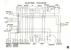 Vip Scooter Wiring Diagram Roketa 50cc Scooter Wiring Diagram My Wiring Diagram Vip Scooter Wiring Diagram Roketa 50cc Scooter Wiring Diagram My Wiring Diagram