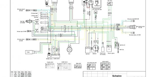 Vip Scooter Wiring Diagram Vip 50cc Scooter Wiring Diagram Wiring Diagram Show