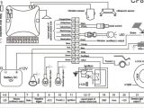 Viper 3305v Wiring Diagram Piranha Car Alarm Wiring Diagram Wiring Diagram