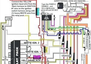 Viper 5×04 Wiring Diagram Oarrxam2000 Remote Wiring Diagram Druttamchandani Com Viper 5×04 Wiring Diagram Oarrxam2000 Remote Wiring Diagram Druttamchandani Com