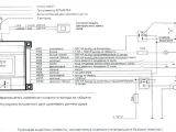 Viper 600 Esp Wiring Diagram Viper 300 Wiring Diagram Wiring Diagram Expert