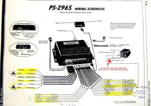 Viper 600 Esp Wiring Diagram Viper 300 Wiring Diagram Wiring Diagram Split
