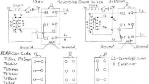 Vista 20 Wiring Diagram Dual Voltage Single Phase Motor Wiring Diagram Diagram Diagram Wire