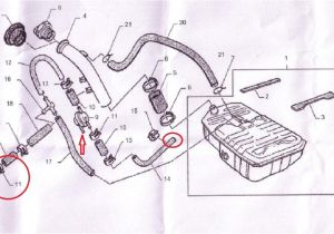 Vl Commodore Wiring Diagram Long Rang Tank Into A Vk Vl Commodore Wiring Diagram Long Rang Tank Into A Vk