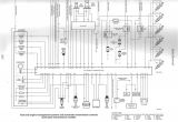 Vn Commodore Engine Wiring Diagram Vn Engine Wiring Diagram My Wiring Diagram