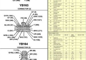 Vn Commodore Wiring Diagram Vt Wiring Diagram Wiring Diagram Go