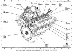 Vn V8 Wiring Diagram Vl Commodore Wiring Diagram Wiring Library