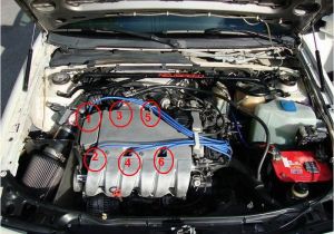 Vr6 Spark Plug Wire Diagram 2000 Mustang Spark Plug Wiring Diagram Wiring Diagrams Konsult Vr6 Spark Plug Wire Diagram 2000 Mustang Spark Plug Wiring Diagram Wiring Diagrams Konsult
