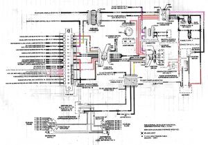 Vs Commodore Wiring Diagram Pdf Jinlun 250 Wiring Diagram Blog Wiring Diagram