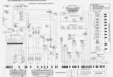 Vs Commodore Wiring Diagram Wiring Diagram Vt Commodore Book Diagram Schema