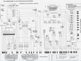 Vs Commodore Wiring Diagram Wiring Diagram Vt Commodore Book Diagram Schema