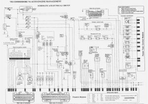 Vs Commodore Wiring Diagram Wiring Diagram Vt Commodore Book Diagram Schema