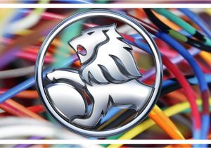 Vt Commodore Wiring Diagram Download Vt Commodore Wiring Diagram Wiring Diagram Article