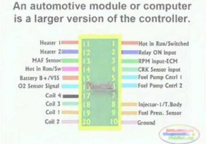 Vt Commodore Wiring Diagram Pdf Ecm Circuit Wiring Diagram Youtube