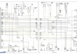 Vw Alternator Wiring Diagram Mk3 Golf Wiring Diagram Wiring Diagram Host