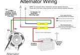 Vw Bug Alternator Wiring Diagram Vw Generator Diagram Wiring Diagram toolbox