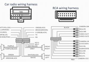 Vw Passat Radio Wiring Diagram Wiring Diagram Pioneer Avh 3100 Search Wiring Diagram Vw Passat Radio Wiring Diagram Wiring Diagram Pioneer Avh 3100 Search Wiring Diagram