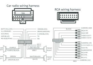Vw Polo Radio Wiring Diagram Cobalt Radio Wiring Diagram Speaker 2 In Alternator Random at Fuse