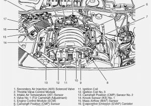 Vz Wiring Diagram 6 0 Engine Bay Diagram Wiring Diagram toolbox