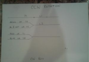 Wagner Electric Motor Wiring Diagram Wagner Motor Wiring Diagram Wiring Diagrams Konsult Wagner Electric Motor Wiring Diagram Wagner Motor Wiring Diagram Wiring Diagrams Konsult