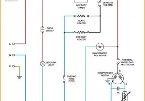 Walk In Cooler Defrost Timer Wiring Diagram Refrigerator Defrost Timer Wiring Diagram Wiring Diagram New