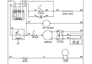 Walk In Freezer Defrost Timer Wiring Diagram Walk In Cooler Wiring Diagram with Defroster Schematic Diagram