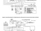 Walk In Freezer Wiring Diagram Walk In Cooler Wiring Diagram Free Download Wiring Diagram Technic