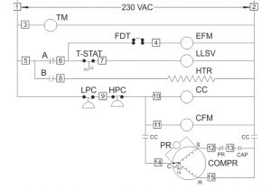 Walk In Freezer Wiring Diagram Walk In Cooler Wiring Diagram Wiring Diagram Info Walk In Freezer Wiring Diagram Walk In Cooler Wiring Diagram Wiring Diagram Info