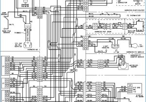 Walk In Freezer Wiring Diagram Walk In Cooler Wiring Wiring Diagram Expert Walk In Freezer Wiring Diagram Walk In Cooler Wiring Wiring Diagram Expert