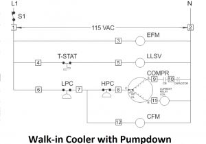 Walk In Freezer Wiring Diagram Walk In Cooler Wiring Wiring Diagram Local Walk In Freezer Wiring Diagram Walk In Cooler Wiring Wiring Diagram Local